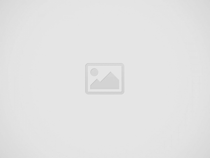 SEO Optimized Articles